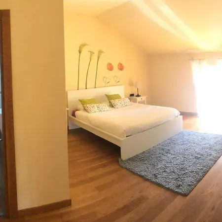 Beltzenia Txoko Urrugne